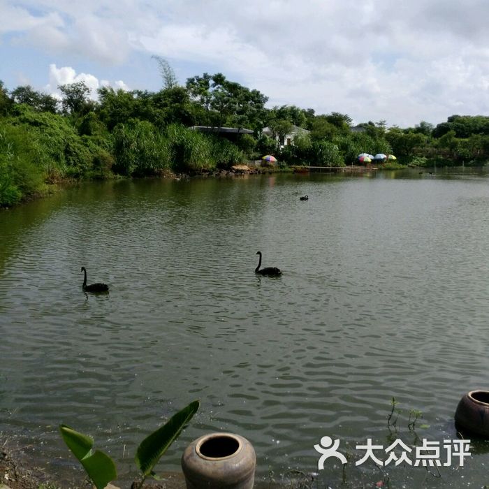 品胜天鹅湖庄园
