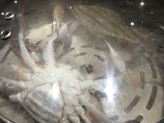 -苏大嘴海鲜牧场(奥林匹克店)