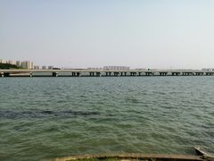 -丁香湖公园