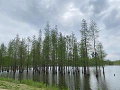-白鹭湾湿地公园