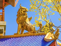 -海花岛旅游度假区
