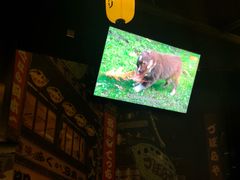 -德国弗伦斯堡啤酒屋