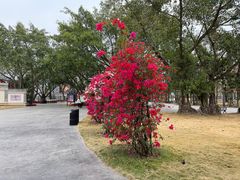 -赤坎·广东华侨国际旅游度假区