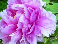 -苏州河梦清园环保主题公园