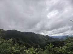 -东白山