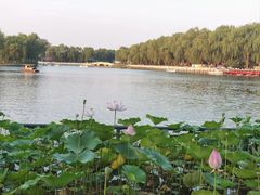 -什刹海