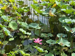 -上海市保健医疗中心