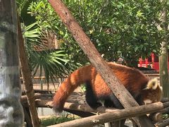 -灵玲国际马戏城
