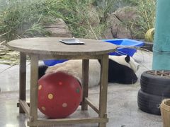 -临沂动植物园