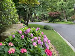 -浙江西子宾馆·瑶园咖啡厅