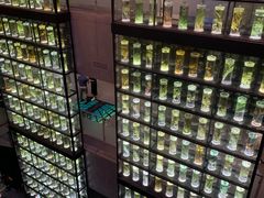 -广东中医药博物馆