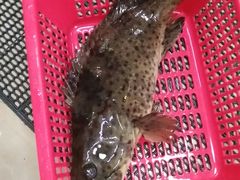 -小辣妹川味海鲜加工店(第一市场椰风巷店)