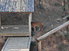 -石家庄市动物园