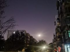 -锦龙国际酒店(天津奥体中心华苑地铁站店)