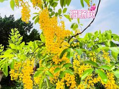 -国家植物园南园