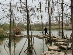 -上海长兴岛郊野公园