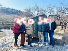 -香雪海