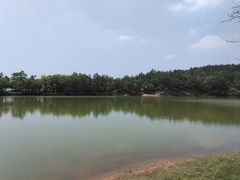 -南京市无想山景区