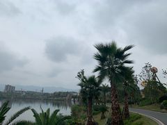 -枫香湖儿童公园