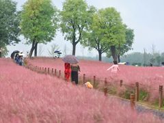 -汉长安城未央宫国家考古遗址公园