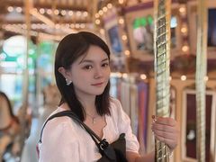 -灰姑娘旋转木马