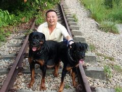 -武吉知马自然保护区