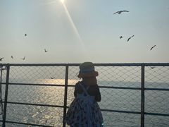 -海驴岛(荣成市)