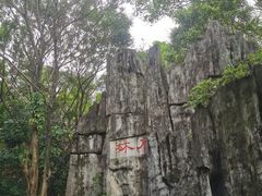 -深圳国际园林花卉博览园