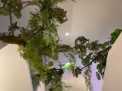 -有位虾匠·香辣蟹·小龙虾(李村店)