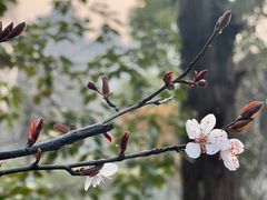 -洋湖国家湿地公园