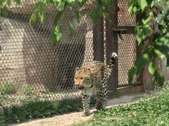 -沈阳森林动物园