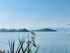 -千岛湖东南湖区