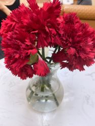 -东莞台心医院-医疗美容