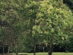 -上海月湖雕塑公园