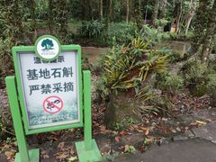 -莫里热带雨林景区