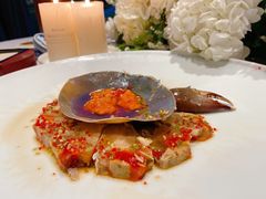 -子福慧(虹桥店)