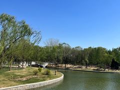 -朝阳公园游乐园