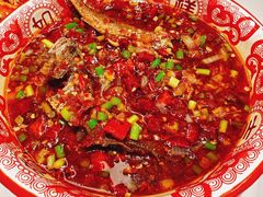 -欧记大排档·景德菜(上海首店)