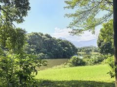 -福建鲤鱼洲酒店