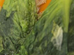 -良友·海鲜青岛菜(五四广场店)