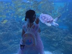 -海合安成都极地海洋公园