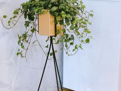 -DEMO黛慕蛋糕(中泰店)