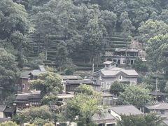 -龙井村