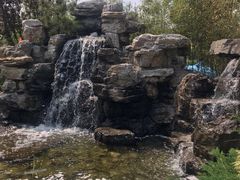 门面-南宫五洲植物乐园