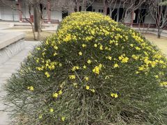 -碑林公园