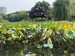 -花溪公园