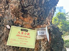-九龙公园