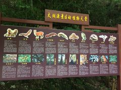 -太湖源风景区