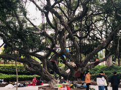 -胡里山炮台