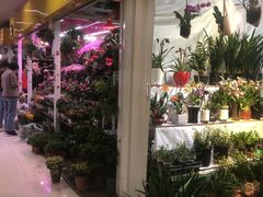 -三旗百汇商品城